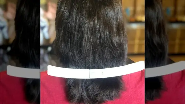 A person using a CreaClip