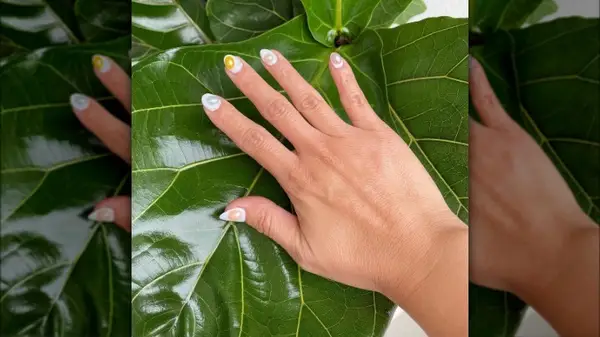 Oval shaped pearl manicure