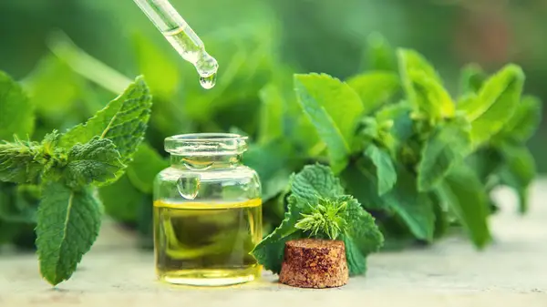 Applying oil to hair