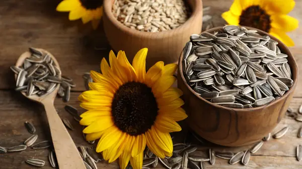 Sunflower seeds