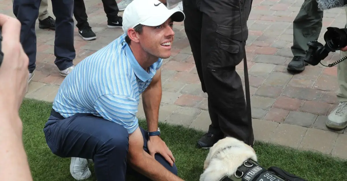 Rory McIlroy głaszcze psa na polu golfowym