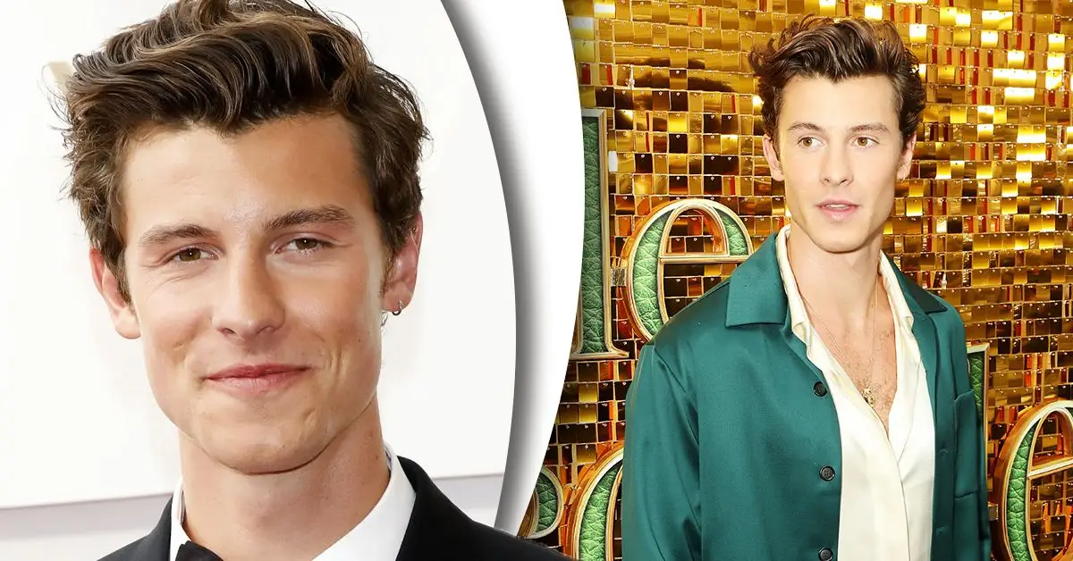 Shawn Mendes는 콘서트 당 얼마를 벌나요?