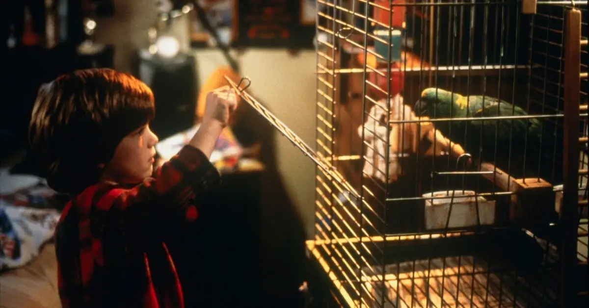 Alex D. Linz amb un lloro a Home Alone 3