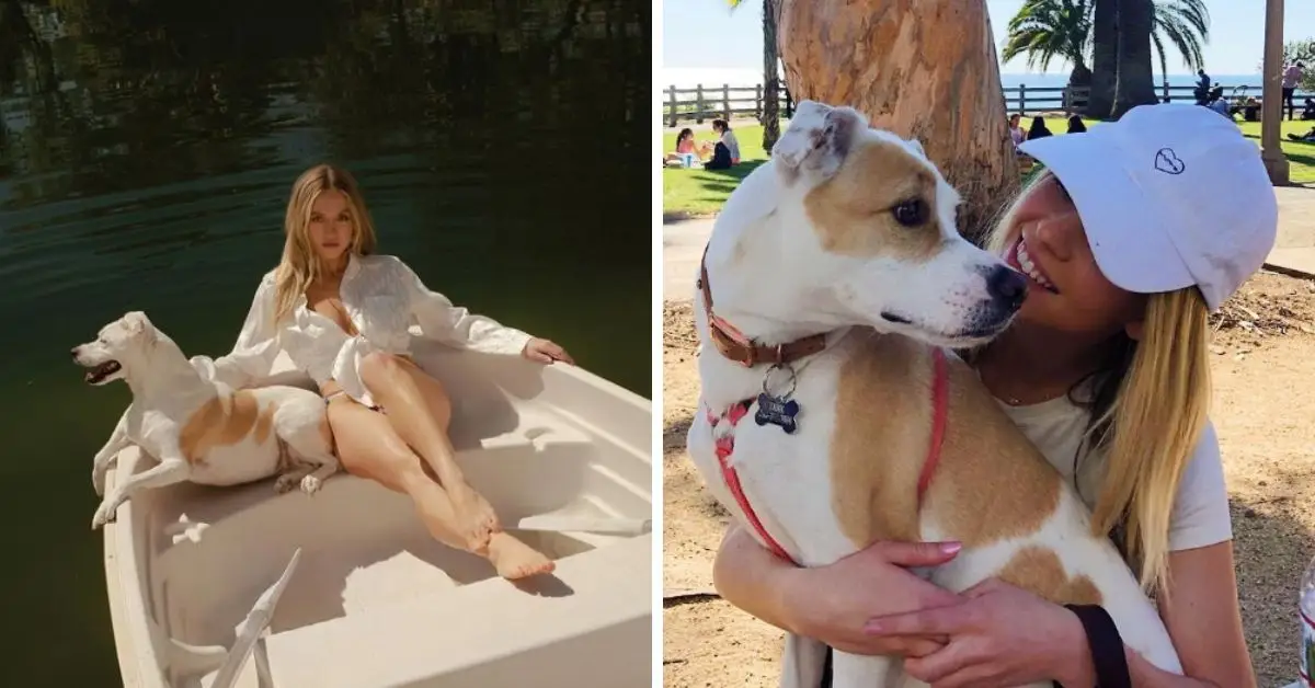 Sydney Sweeney Hundebecken