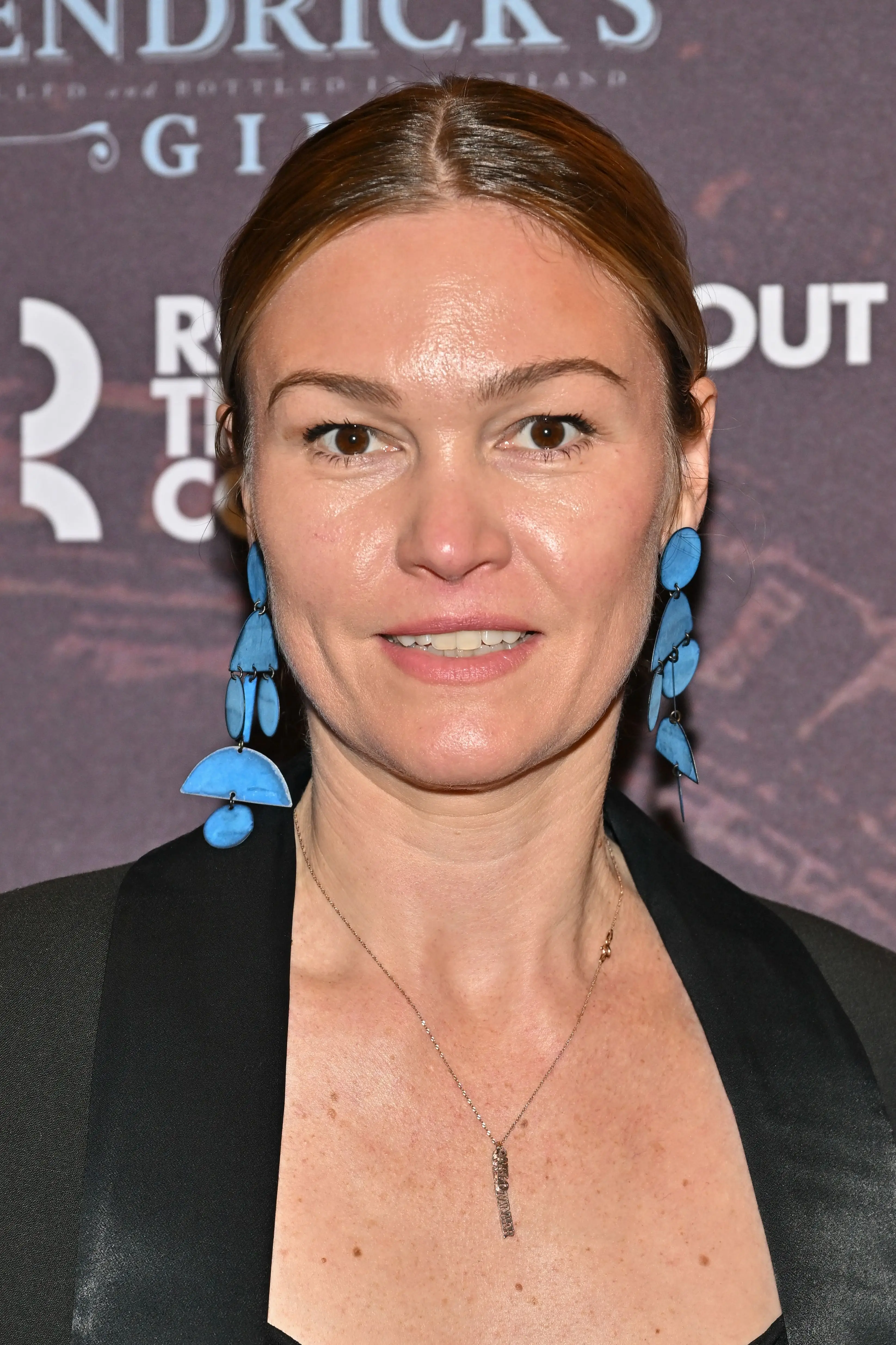 cosa sta facendo Julia Stiles adesso?