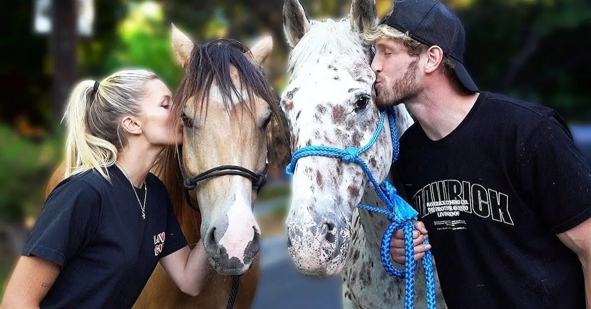 조시 칸세코와 로건 폴