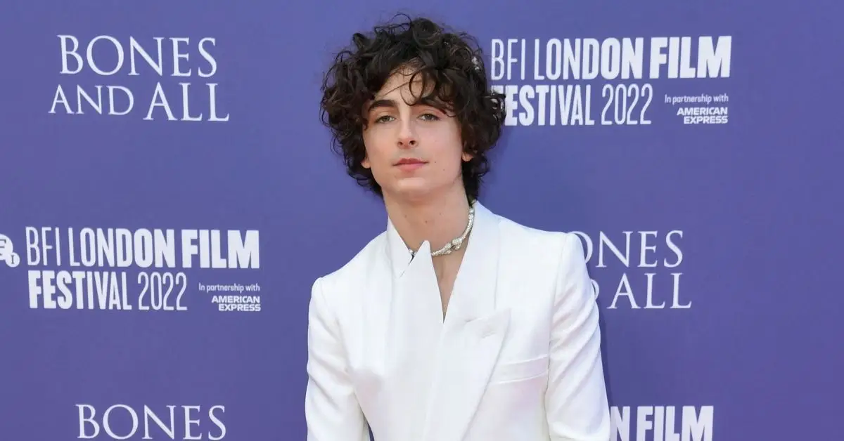 Timothee Chalamet på röda mattan