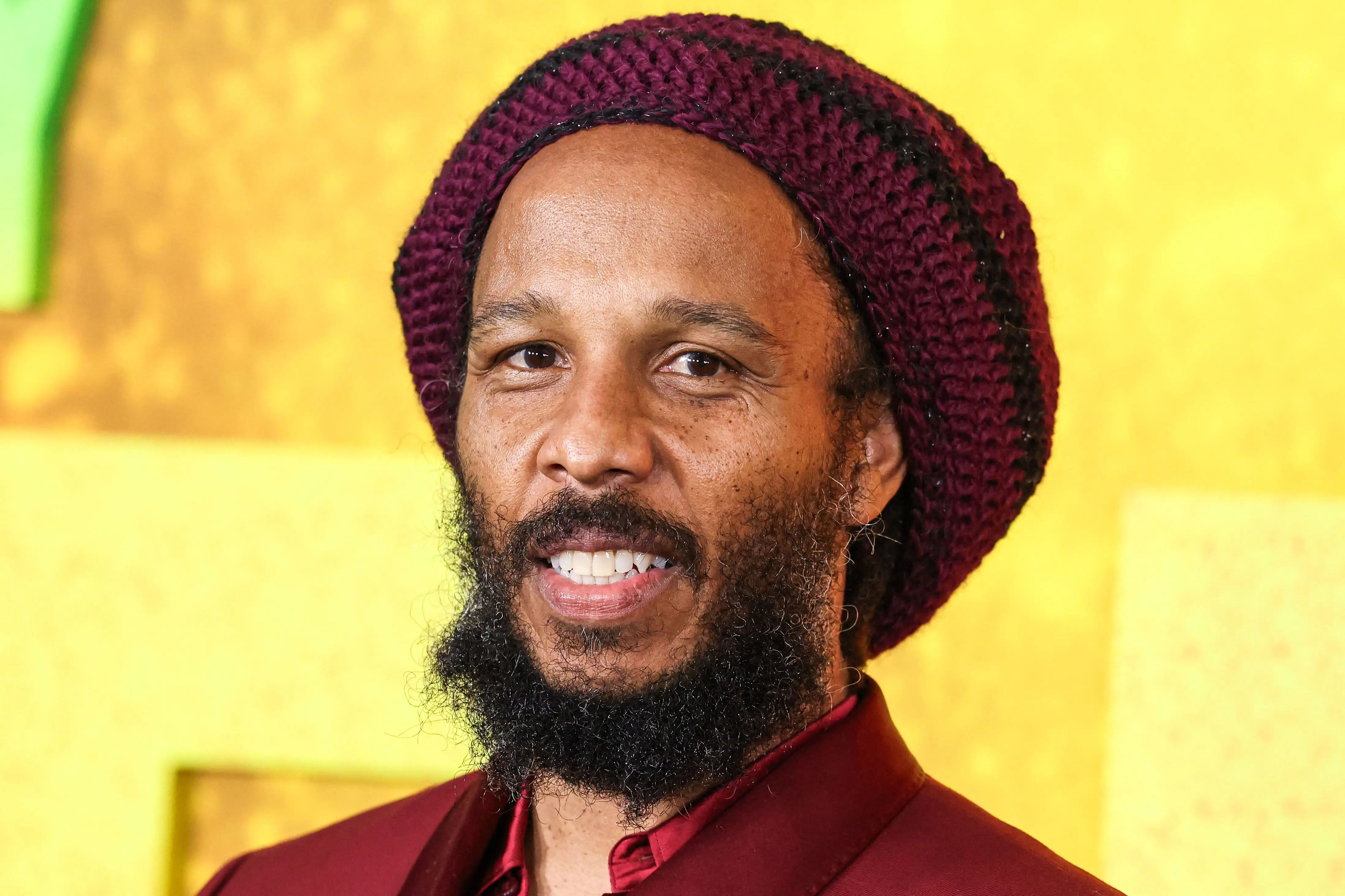 ziggy marley