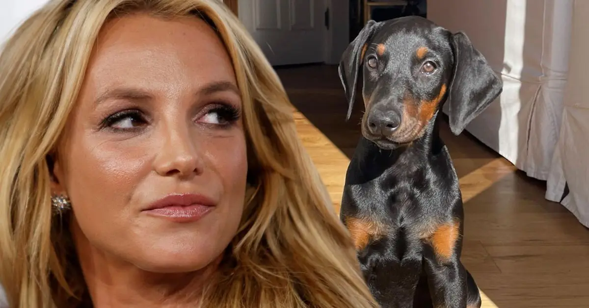 Quanto di Britney Spears