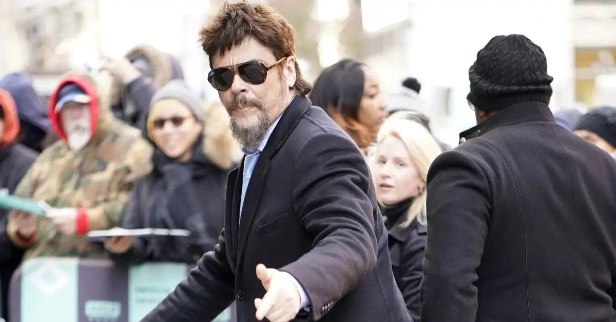 בניסיו דל טורו בניו יורק