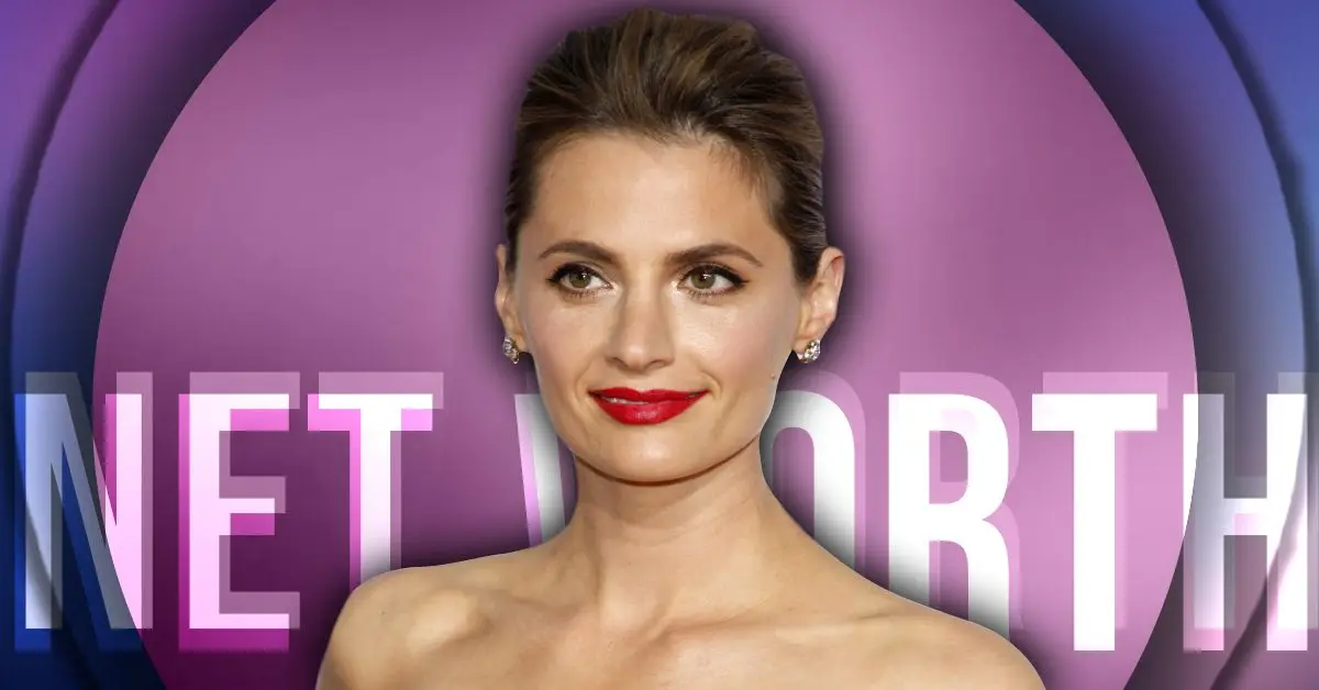 Stana Katic patrimonio