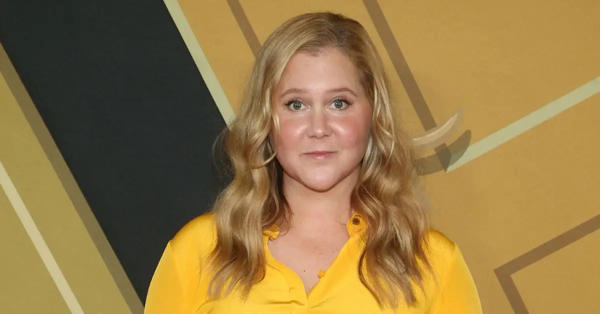 레드카펫 위의 에이미 슈머