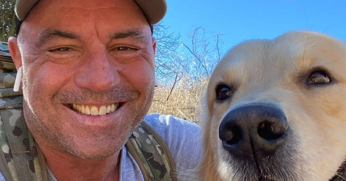 Joe Rogan ler med sin hund