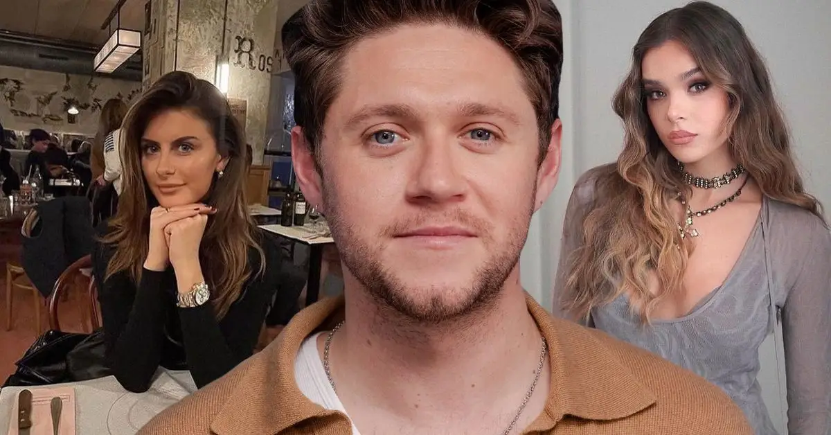 Quais músicas de Niall Horan são sobre sua ex Hailee Steinfeld e sua namorada Amelia Woolley_