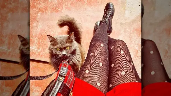 Person wearing polka dot tights 