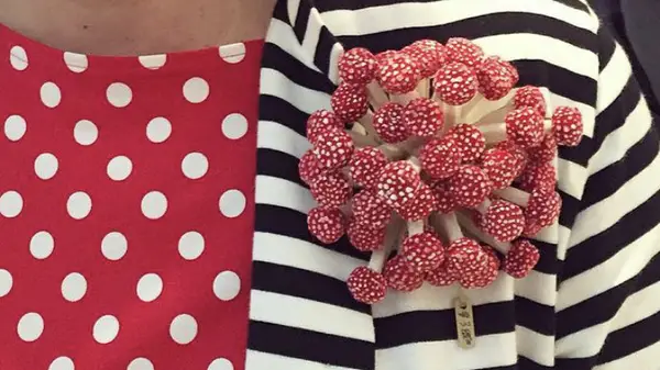 Mushroom brooch
