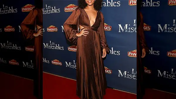 brown maxi dress in micropleat