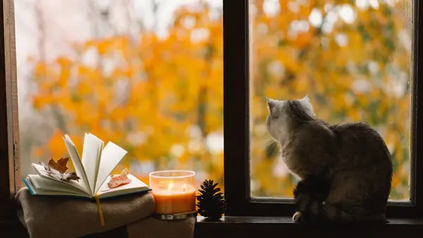 An open book sitting on a windowsill with a candle and cat