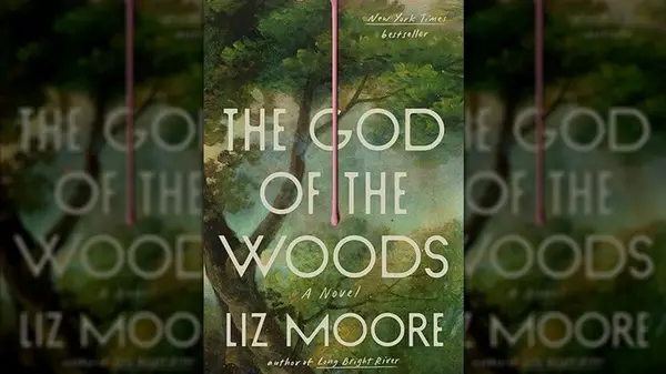 Cover of The God of the Woods by Liz Moore