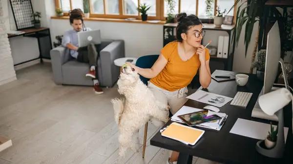 Couple working from home