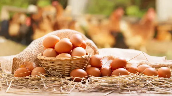 Eggs in a basket