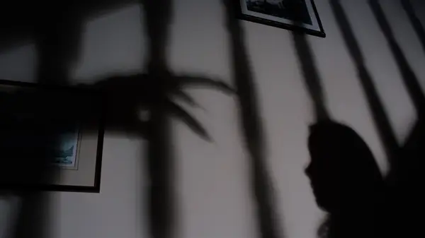 shadows of monster and child