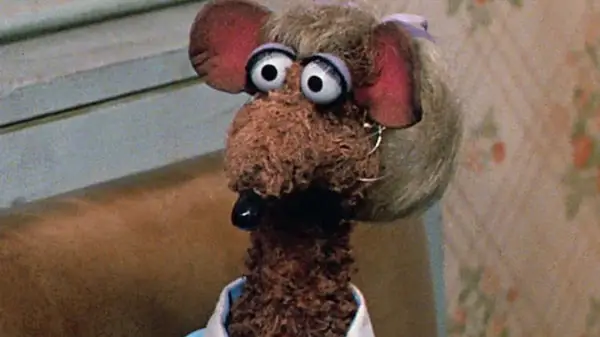 rat muppet