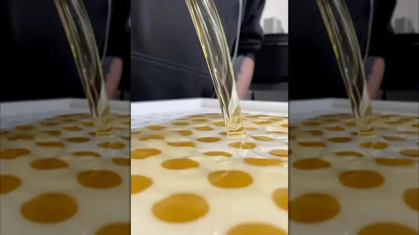 A snap of one of Kobee