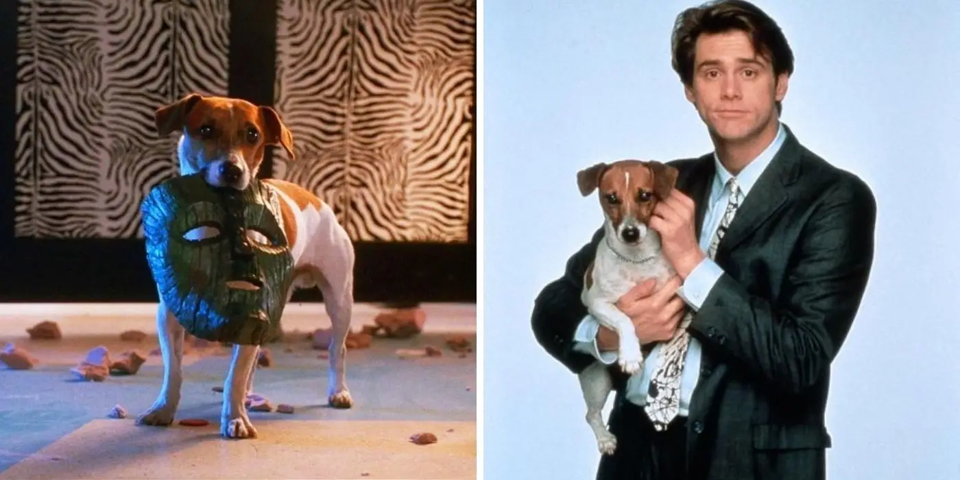 「マスク」のジム・キャリーの犬に何が起こったのでしょうか？