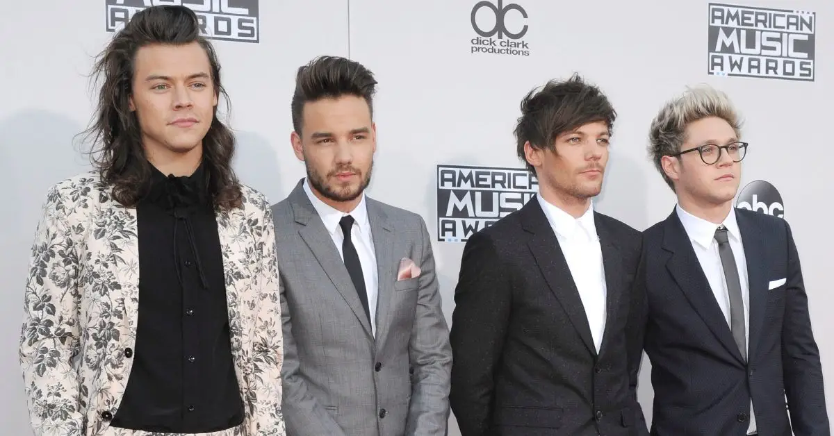 흑백을 입은 원디렉션