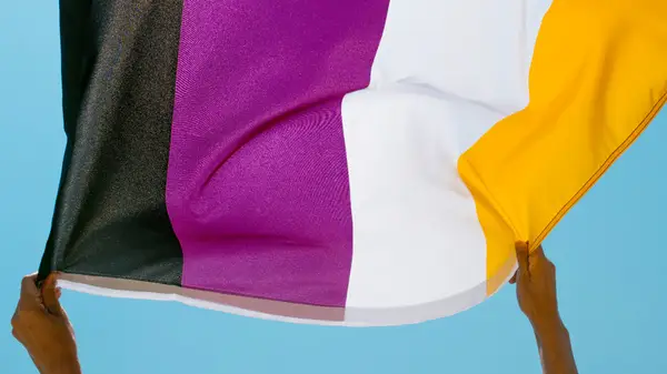 Hands hold up a four stripe nonbinary flag in the sky