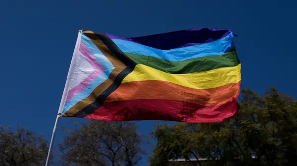 Pride flag with eleven colored stripes
