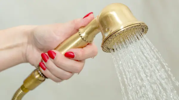 Handheld showerhead