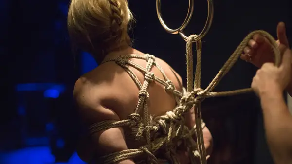 woman in shibari