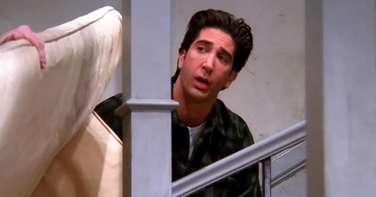 David Schwimmer su