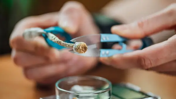 microdosing cutting up psilocybin 