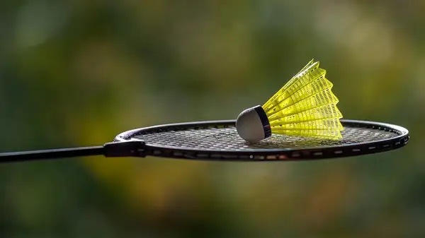 badminton racket and birdie