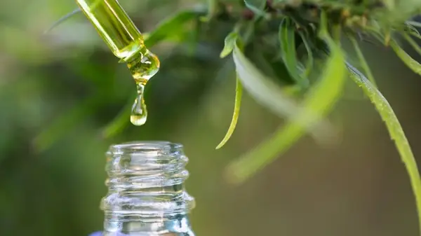 CBD tincture